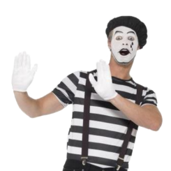 Mime245